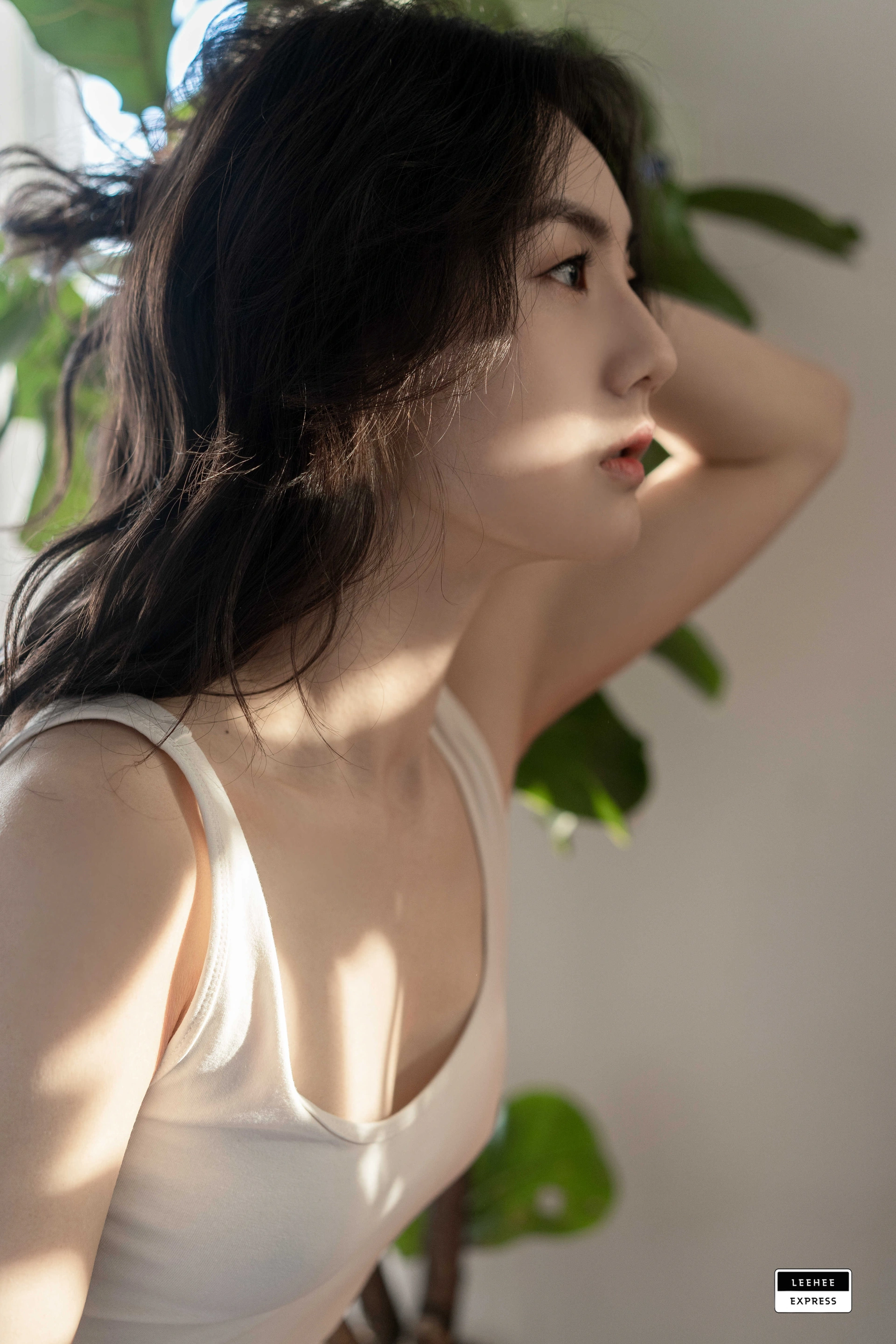 LeeheeExpress – NO.397 LERB-066 Ray 0